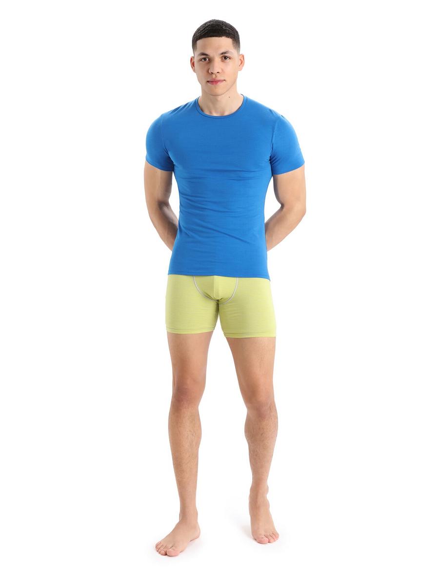 Bielizny Icebreaker Merino Anatomica Long Boxers Męskie Mięta | PL 1664HAPK